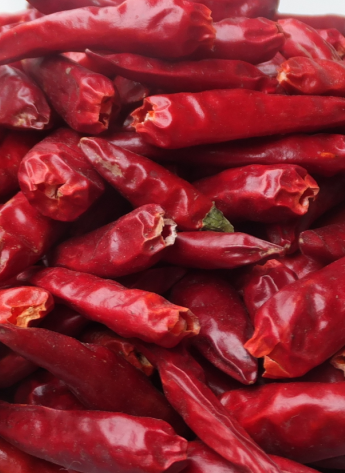 һt5f(wn)-6f(wn)SHU