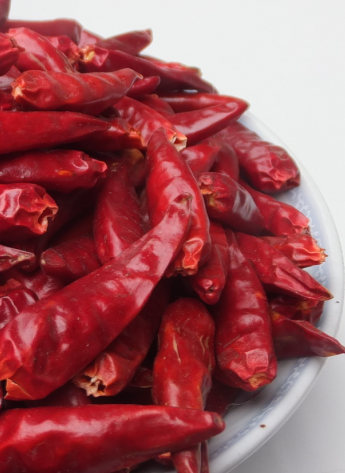 һt5f(wn)-6f(wn)SHU