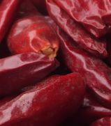 ӏ^4f(wn)-5f(wn)SHU