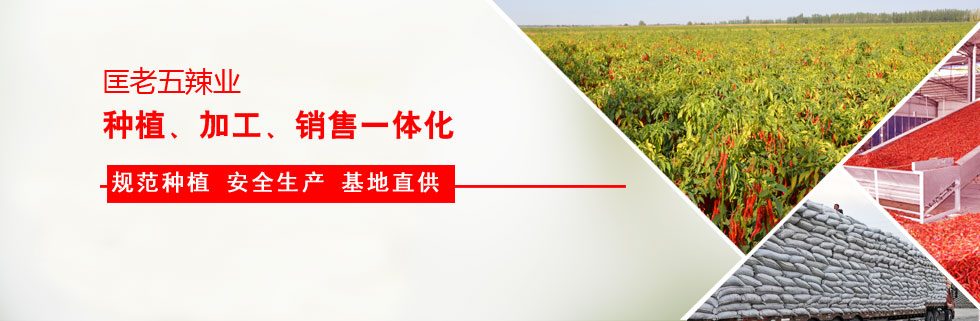 I(y)c¡ƽ߿зNI(y)